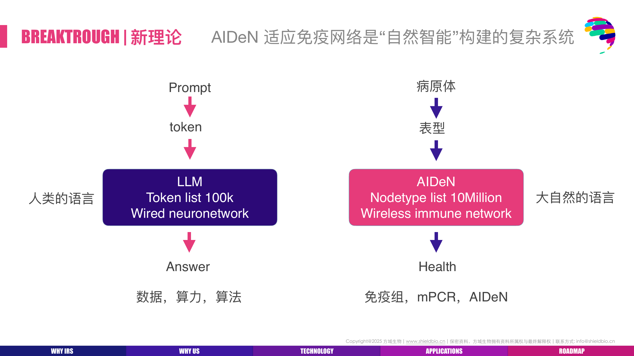 AIDeN适应免疫网络示意